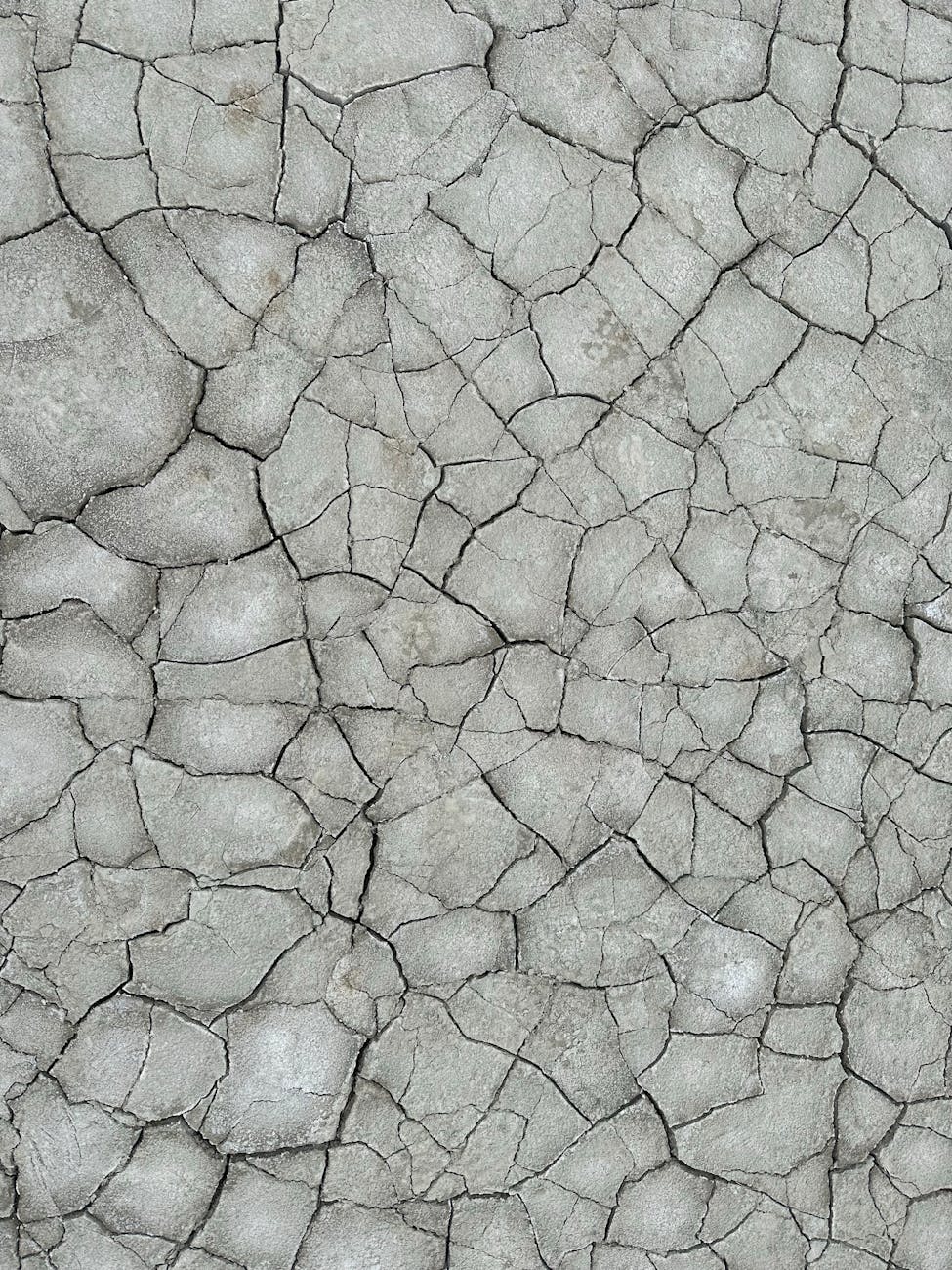 Understanding Dehydration and Its Impact on Serotonin